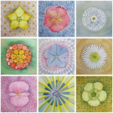 Iwona Piszczelska - Kwiaty z Walewic - akwarela - 9 x 20x20
